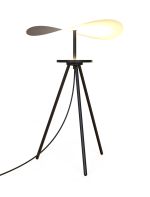 Abisal 60cm Dimmable Table Lamp, 10W LED, 2700-5700K CCT Remote Control, 930lm, Natural Wood, 3yrs Warranty