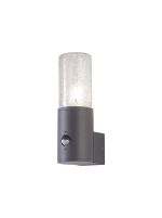 Pizzasy Wall Lamp With PIR Sensor 1 x E27, IP54, Anthracite/Crackled Clear, 2yrs Warranty
