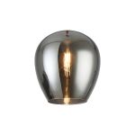 Zenth 25x27cm Chrome Wine Glass (X), Shade