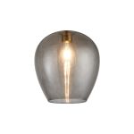 Zenth 25x27cm Smoke Plated Wine Glass (X), Shade