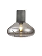 Odeyscene 31cm Ceiling Light With Wide Glass, 1 x E27, Pewter/Smoke