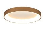 Niseko II Ring Ceiling 65cm 50W LED, 2700K-5000K Tuneable, 3760lm, Remote Control & APP, Gold, 3yrs Warranty