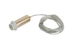 Wick 5m Assembly Body Only, 10cm Body, 1 Light E27, French Gold