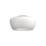 Zenth 30x16.5cm Opal Trapezium Glass (E), Shade