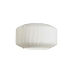 Zenth 30x16.5cm Opal Chamfered Round Rippled Glass (Z), Shade