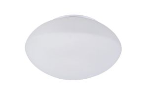 Opal Ceiling/Wall 1 Light E27, Polished Chrome/Frosted White Glass