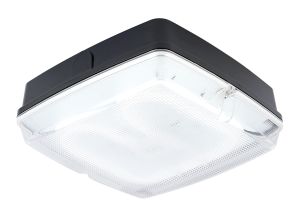 Pluto Large Square HF IP65 Bulkhead With Clear Prismatic Cover & Black Base - 28W GR10q 2D 4Pin Lamp Included
