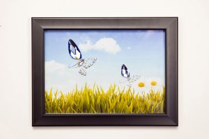 (DH) Nature Butterflies, Black Frame Blue, Purple Crystal