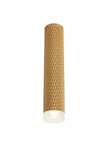 Seafood 6cm 1 Light 30cm Surface Mounted Ceiling GU10, Champagne Gold/Acrylic Ring