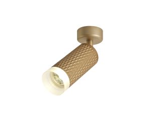 Seaford Adjustable 1 Light Surface Mounted Ceiling/Wall Spot Light GU10, Champagne Gold/Acrylic Ring