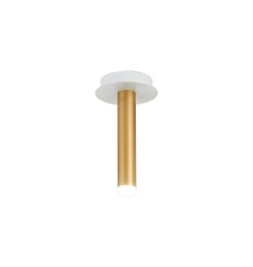 Rita 1 Pendant With 200mm Tube, 5W LED, 4000K, 325lm, IP44, Satin White/Satin Gold, 3yrs Warranty