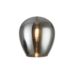Zenth 25x27cm Chrome Wine Glass (X), Shade