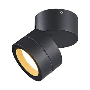 Saler Adjustable Dimmable Ceiling Spotlight/Wall Light, 1 Light, With Replaceable 12W LEDs, 2700K, Dark Grey, IP65, 2yrs Warranty