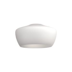 Zenth 30x16.5cm Opal Trapezium Glass (E), Shade