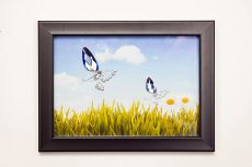 (DH) Nature Butterflies, Black Frame Blue, Purple Crystal