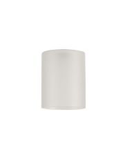 Giuseppe 12x15cm Medium Cylinder (A) Frosted Glass Shade