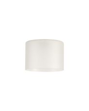 Giuseppe 15x11cm Short Cylinder (A) Frosted Glass Shade