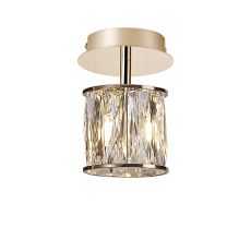 Acacia 12cm 1 Light G9 Flush Light French Gold / Clear Crystal Shade