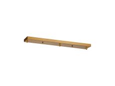 Briciole 3 Hole 700 x 100mm Canopy/Ceiling Rose Kit Brass