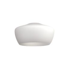 Zenth 30x16.5cm Opal Trapezium Glass (E), Shade